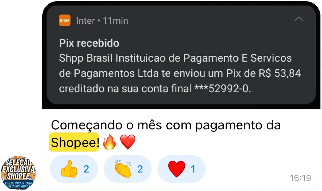12.webp